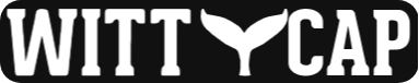 WittyCap Logo